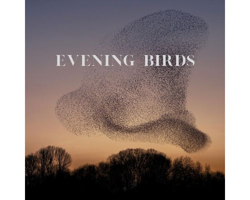 Avez - Evening Birds