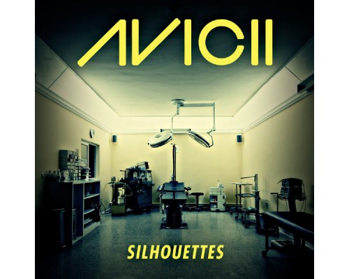 Avicii - Silhouettes