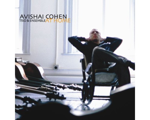 Avishai Cohen - At Home