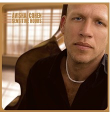 Avishai Cohen - Sensitive Hours