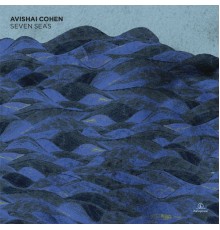 Avishai Cohen - Seven Seas