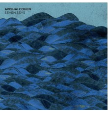 Avishai Cohen - Seven Seas