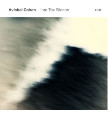 Avishai Cohen - Into The Silence