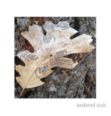 Awakened Souls - Awakened Souls