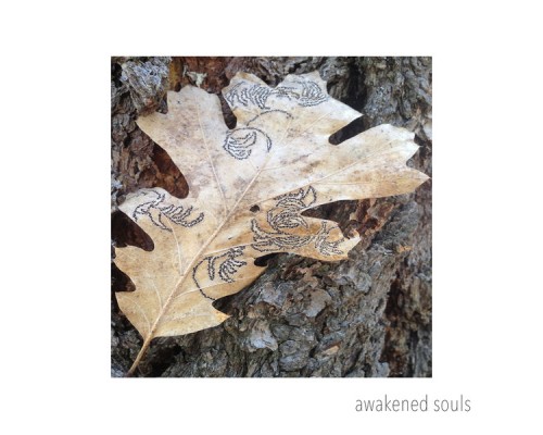 Awakened Souls - Awakened Souls