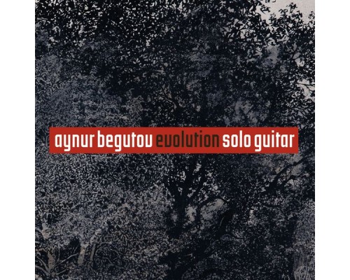 Aynur Begutov (seven-string guitar) - Evolution