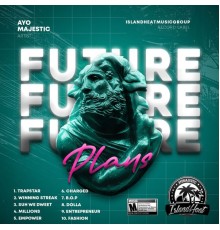 AyoMajestic - Future Plans