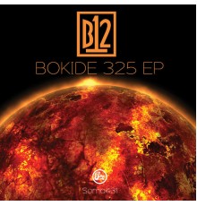 B12 - Bokide 325