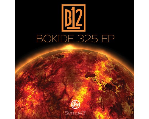 B12 - Bokide 325