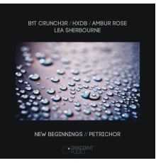 B1t Crunch3r - New Beginnings / Petrichor