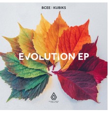 BCee, Kubiks - The Evolution EP