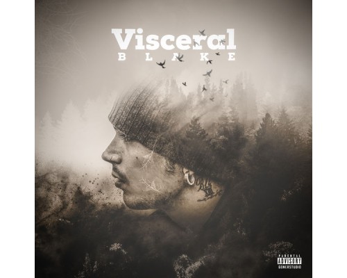 BLAKE - Visceral