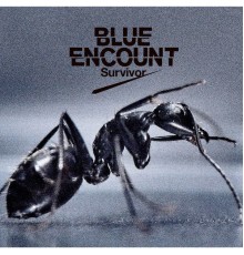 BLUE ENCOUNT - Survivor