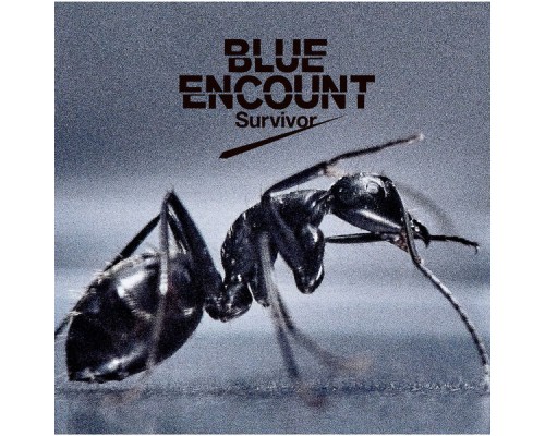 BLUE ENCOUNT - Survivor