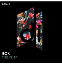 BOK - This Is (Original Mix)