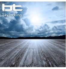 BT - Skylarking