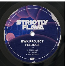 BWK Project - Feelings (Original Mix)