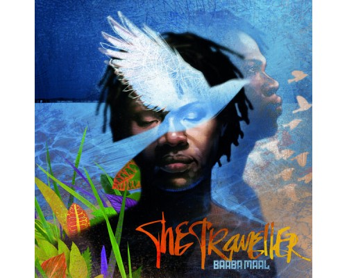 Baaba Maal - The Traveller