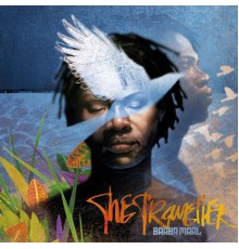 Baaba Maal - The Traveller