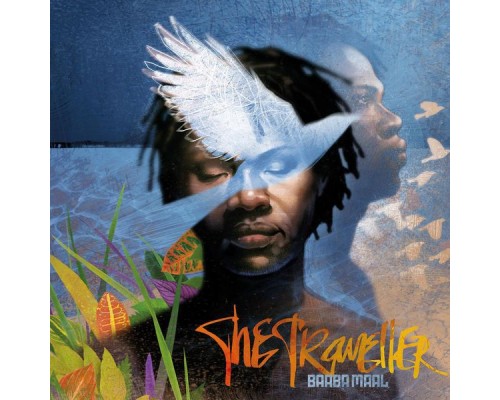 Baaba Maal - The Traveller