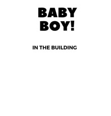 Baby Boy - In the Building