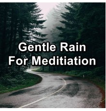 Baby Rain, Rain Sounds for Sleep, Sleepy Rain, Paudio - Gentle Rain For Meditiation