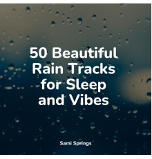 Baby Sleep Lullaby Academy, Ambient Music Therpy, Relaxing Mindfulness Meditation Relaxation Maestro - 50 Beautiful Rain Tracks for Sleep and Vibes