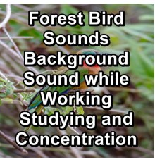 Baby Sleep Sounds, Baby Sleep, White Noise for Baby Sleep, Paudio - Forest Bird Sounds Background Sound while Working Studying and Concentration