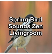 Baby Sleep, White Noise for Baby Sleep, Baby Sleep Sounds, Paudio - Spring Bird Sounds Zen Livingroom