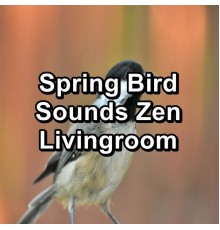 Baby Sleep, White Noise for Baby Sleep, Baby Sleep Sounds, Paudio - Spring Bird Sounds Zen Livingroom