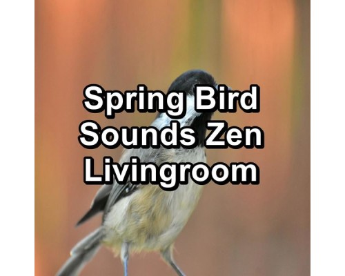Baby Sleep, White Noise for Baby Sleep, Baby Sleep Sounds, Paudio - Spring Bird Sounds Zen Livingroom Baby Sleep, White Noise for Baby Sleep, Baby Sleep Sounds, Paudio - Spring Bird Sounds Zen Livingroom