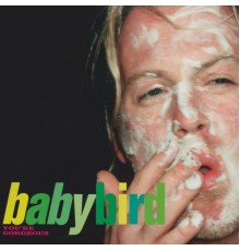 Babybird - You're Gorgeous