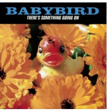 Babybird - There's Something Going On