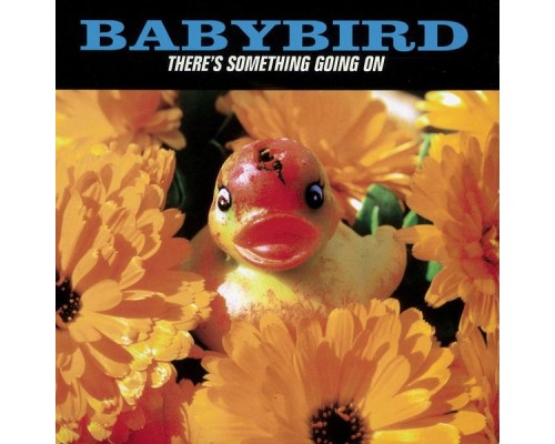 Babybird - There's Something Going On