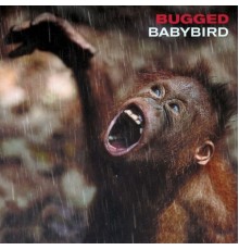 Babybird - Bugged