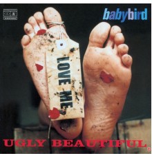 Babybird - Ugly Beautiful