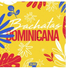 Bachatas Dominicanas - Bachatas Dominicanas  (En Vivo)