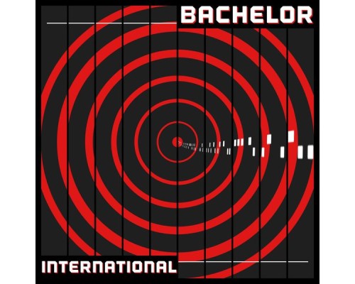 Bachelor - International