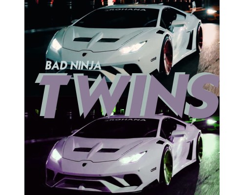 Bad Ninja - Twins