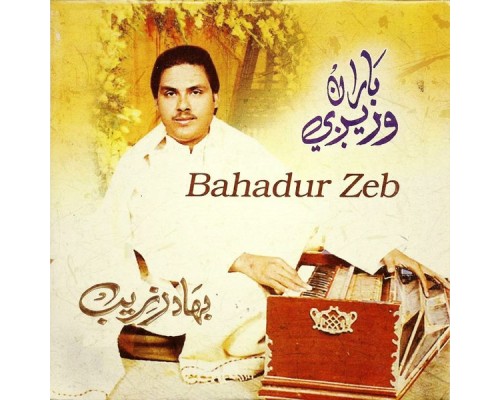 Bahadur Zeb - Baran Waregi