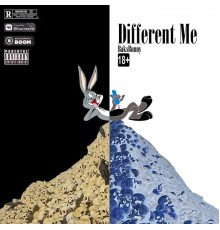 Bak$BunnY - Different Me