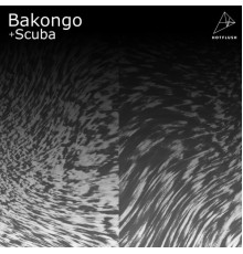 Bakongo - Iceberg