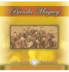 Banda Maguey - Coleccion Diamante