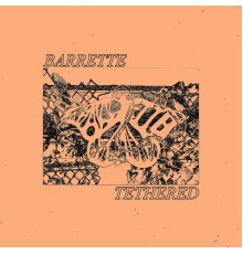 Barrette - Tethered