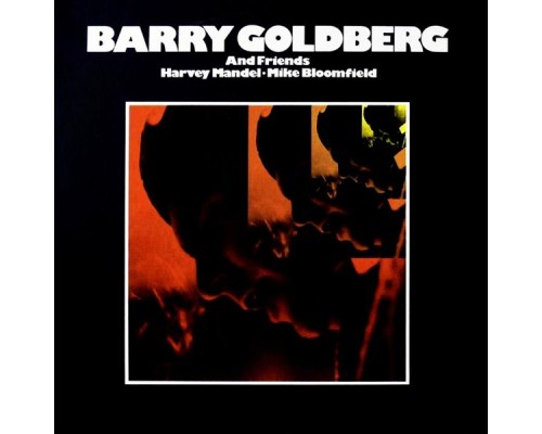 Barry Goldberg - Barry Goldberg & Friends