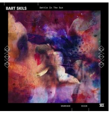 Bart Skils - Settle in the Sun