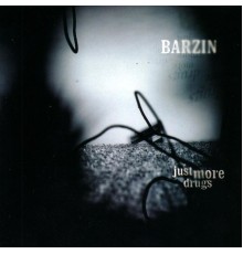 Barzin - Just More Drugs