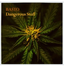 Basto - Dangerous Stuff