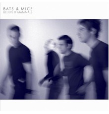 Bats & Mice - Believe It Mammals