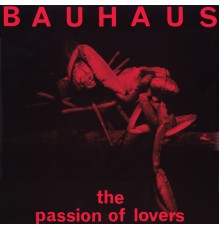 Bauhaus - The Passion of Lovers